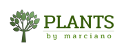 PLANTS by Marciano